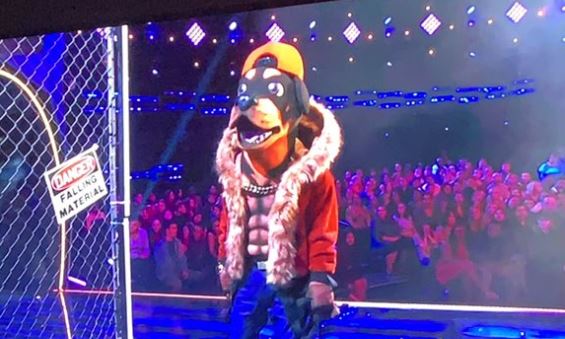 Masked Singer from Twitter