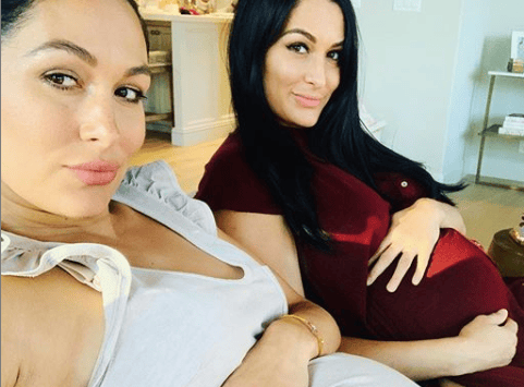 Total Bellas Nikki Brie Instagram