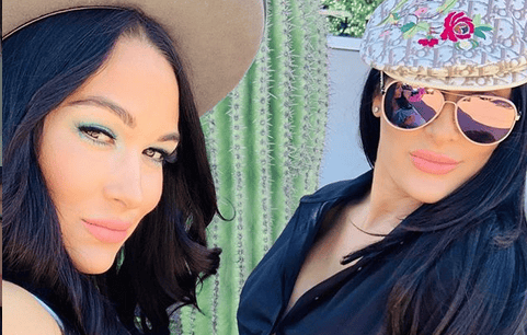 Total Bellas Nikki Brie Instagram