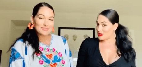 Bella Twins from Instagram
