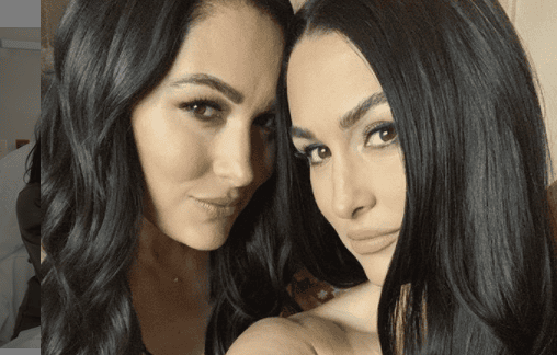 Bella Twins from Instagram