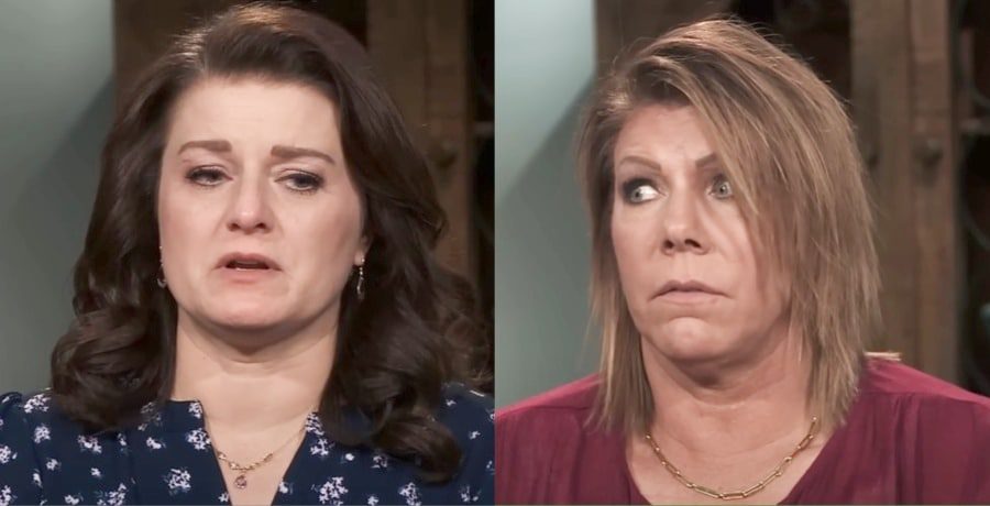 Meri Brown and Robyn Brown from Sister Wives, TLC, Sourced from YouTube