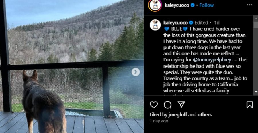 Kaley Cuoco give tribute to her boy, Blue. - Instagram