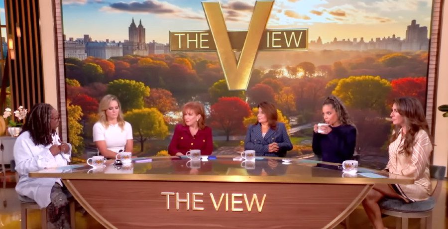 'The View' co-hosts/Credit: YouTube