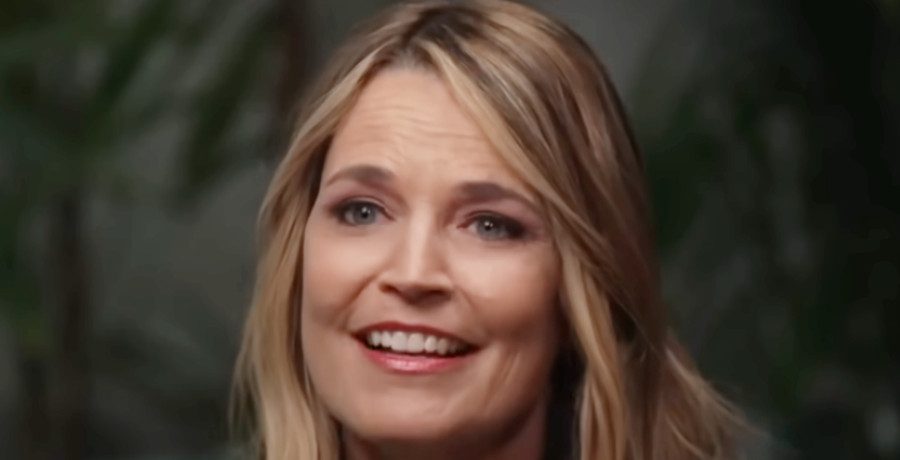 Savannah Guthrie/Credit: YouTube