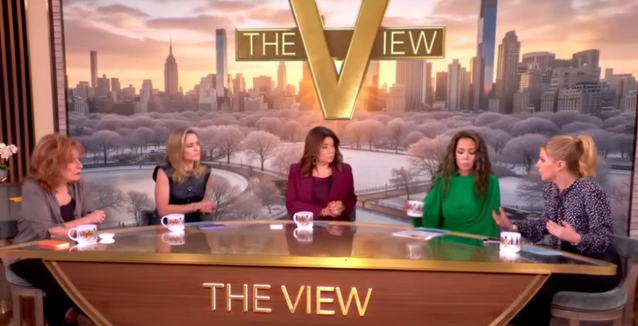 'The View' hosts/Credit: YouTube