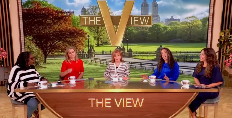 'The View' hosts/Credit: YouTube