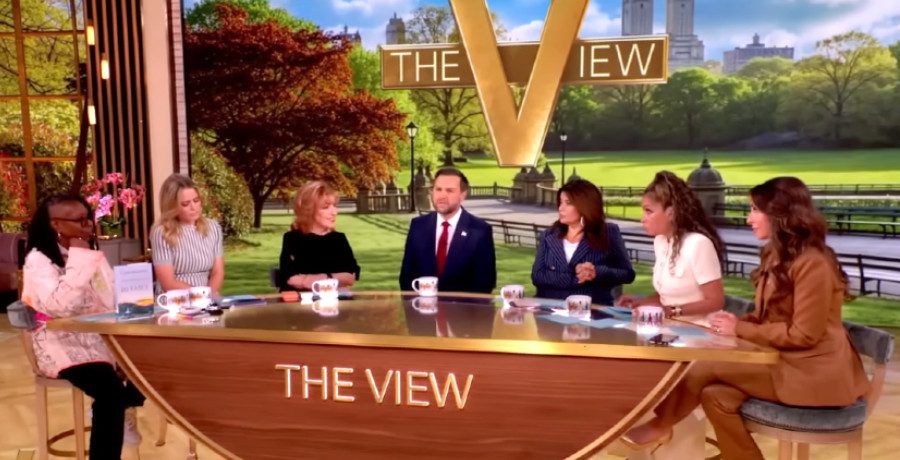 JD Vance on 'The View'/Credit: YouTube