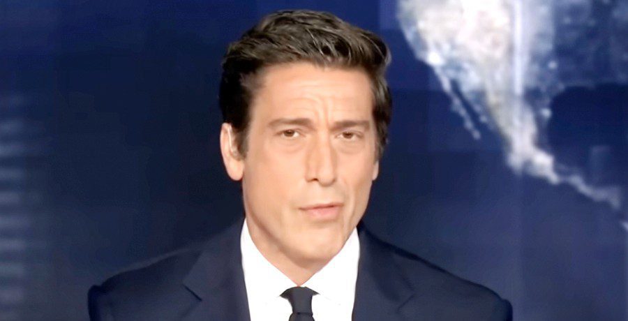 David Muir - YouTube