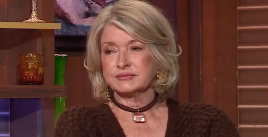 Martha Stewart/Credit: YouTube