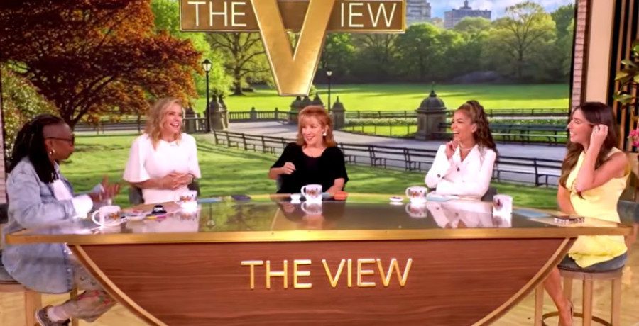 'The View' hosts/Credit: YouTube