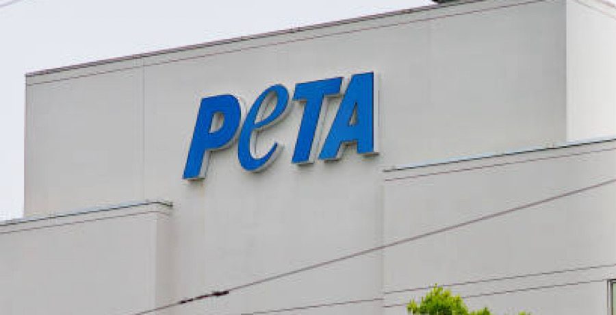 PETA- iStock