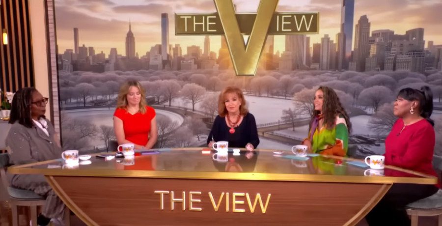 'The View' hosts/Credit: YouTube